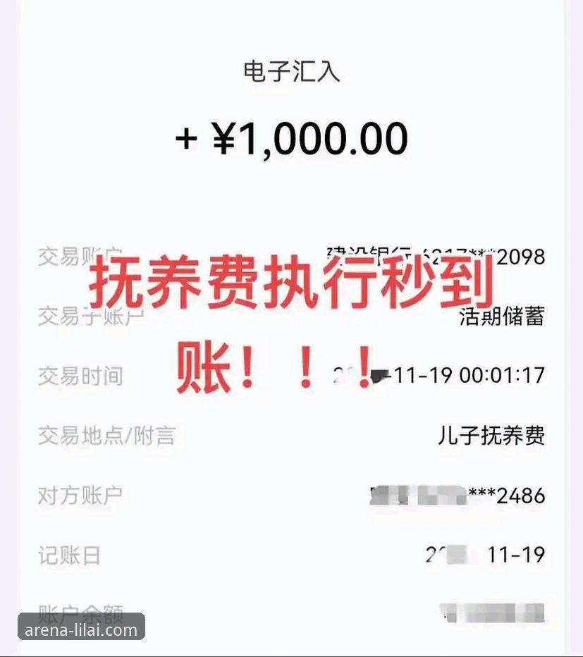 利来体育提现教程使用指南 利来体育平台提现操作完整指南:从申请到到账的深度解析